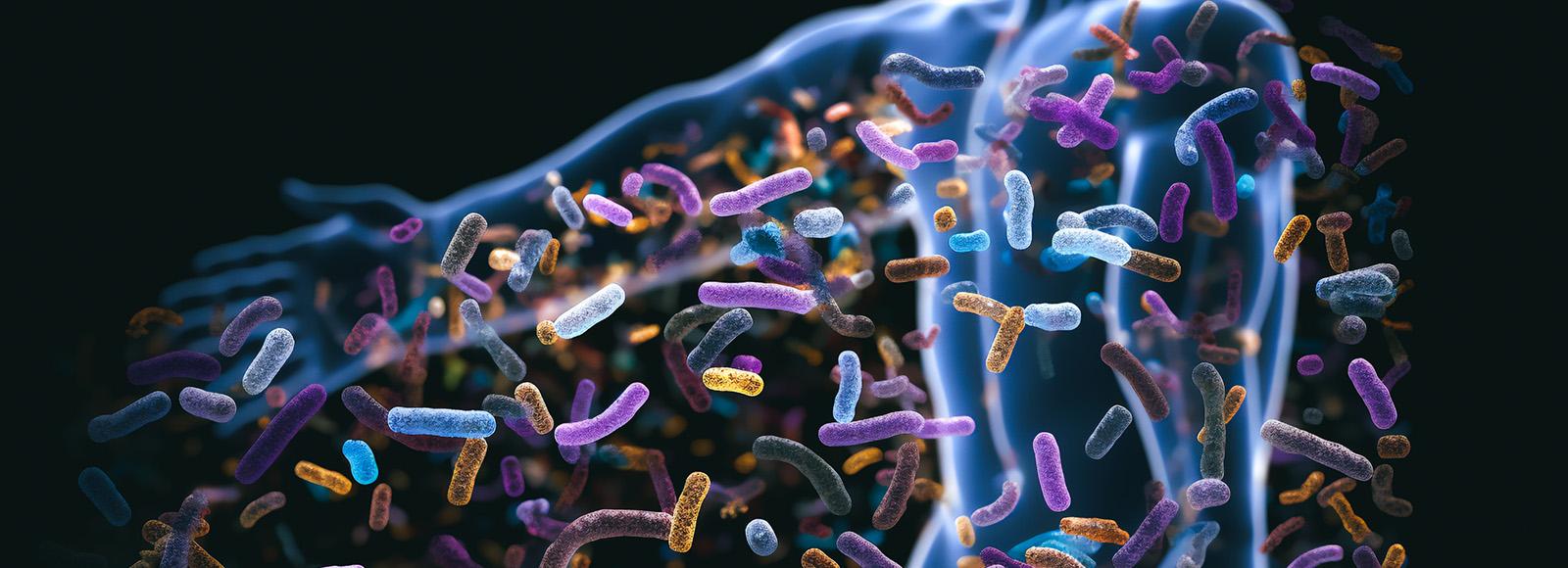 Microbiomul, noua frontieră a medicinei personalizate