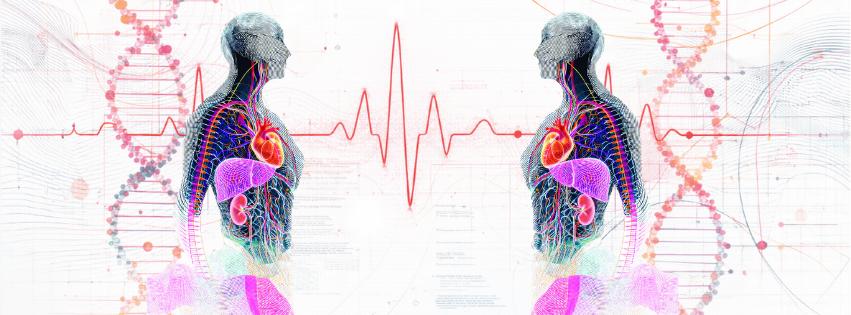 Sy.Me.Di. <br> Systemic Metabolic Disorders <br> București