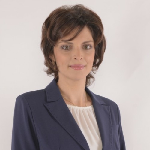 Ioana Raluca Dinu