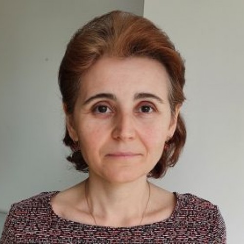 Lavinia Lia Vlaia
