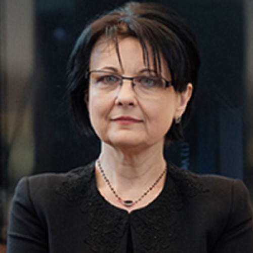 Irina Iuliana Costache